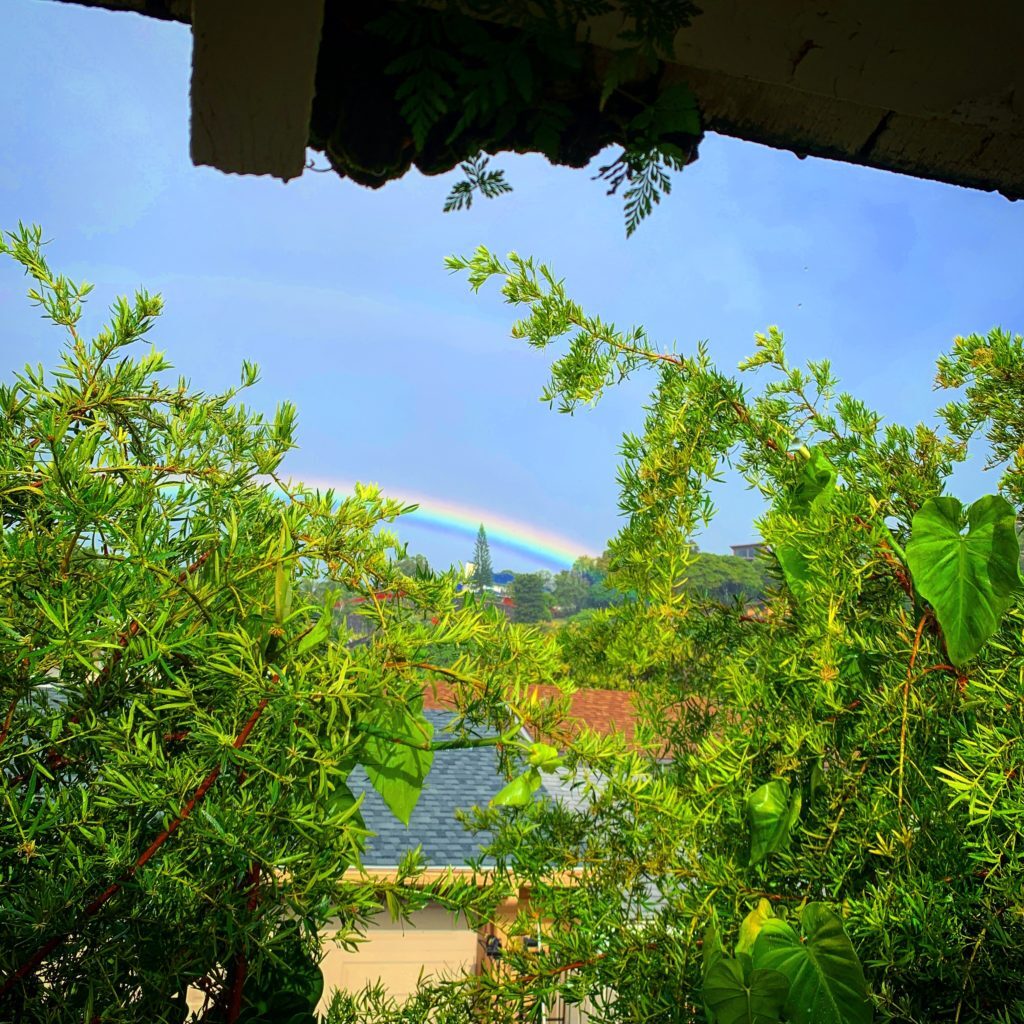 ハワイで見えたある日の虹